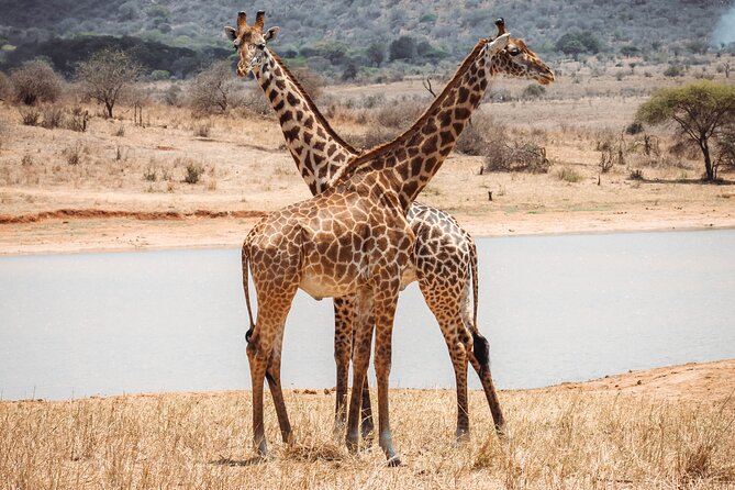 2 Day Tanzania Safari in Tarangire and Ngorongoro Crater - Timing, weather, and cancellation rules