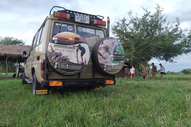 2 Day Wildlife Experience and Masai Culture Mikumi Park - Camp, meals, and the overnight break