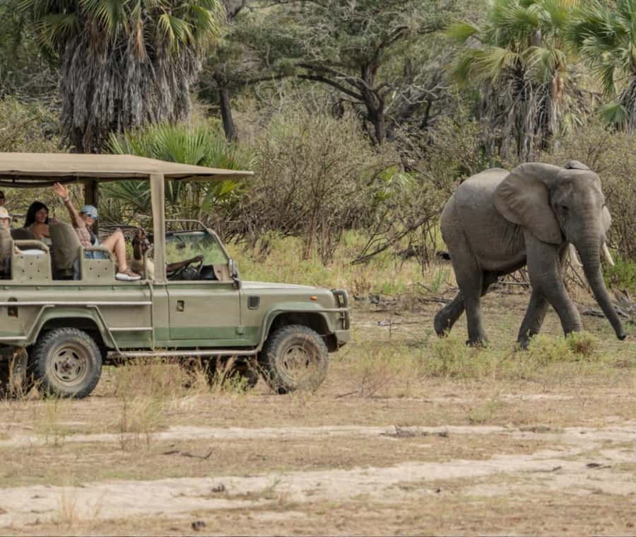 2 Day Zanzibar to Nyerere NP (Selous GR) By Flight - Night at Selous Safari Lodge Outside the Park