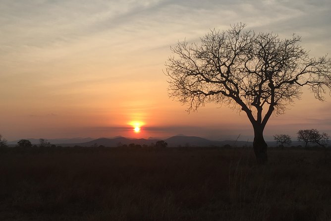2 Days 1 Night Mikumi National Park - What the $520 price covers
