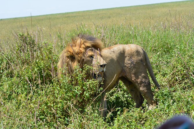 2 Days 1 Night Northern Joining Safari Private Tour - Is $780 a fair price for two days?
