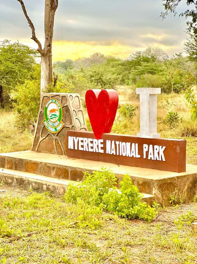 2-Days 1-Night Nyerere National Park from Zanzibar by flight - Why Nyerere works well from Zanzibar