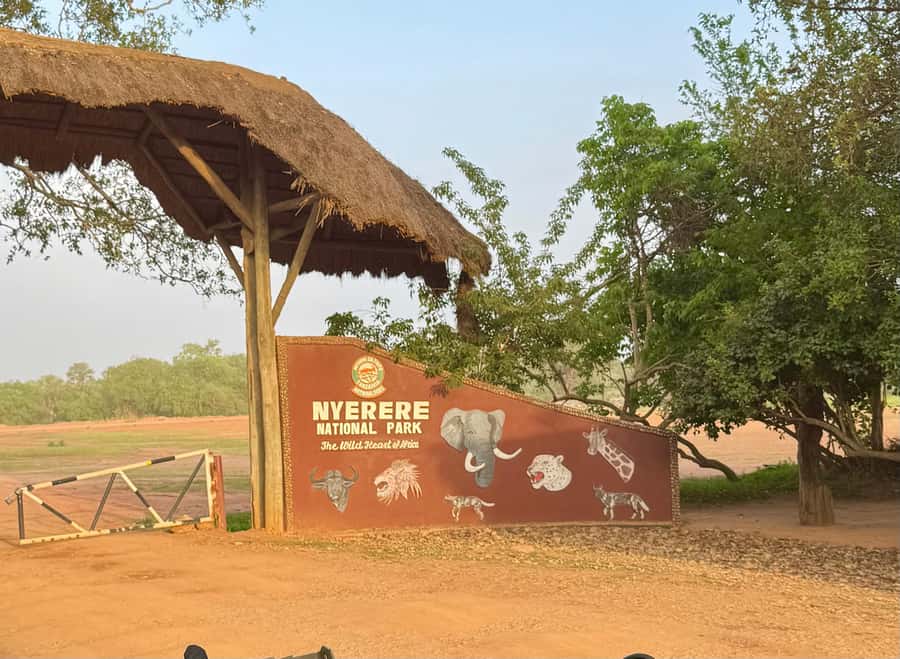 2-Days 1-Night Nyerere National Park from Zanzibar by flight - A full day among Nyerere’s wildlife