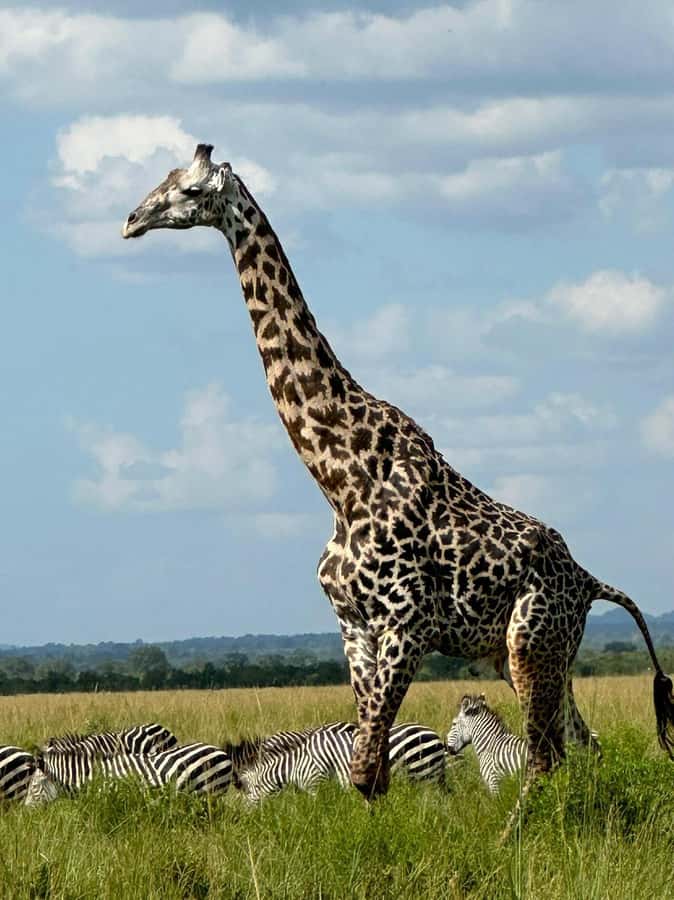 2-Days 1-Night Nyerere National Park from Zanzibar by flight - Day 1: Zanzibar to Mtemere Airstrip