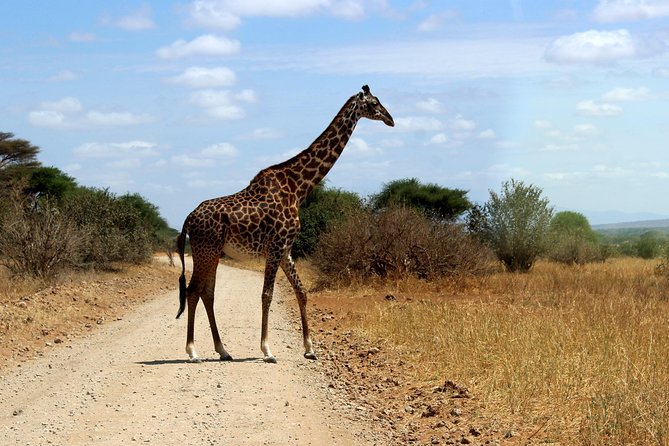 2 Days /1 Night safari to Mikumi - What the $470 price really covers