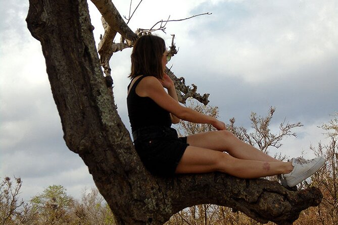 2 Days /1 Night safari to Mikumi - The private format and guide experience