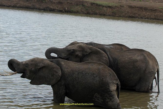 2 Days /1 Night safari to Mikumi - Your first Mikumi game drive