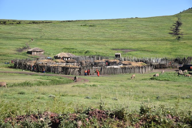 2 Days / 1 Night Tanzania Safari Tour - Why this two-day safari works