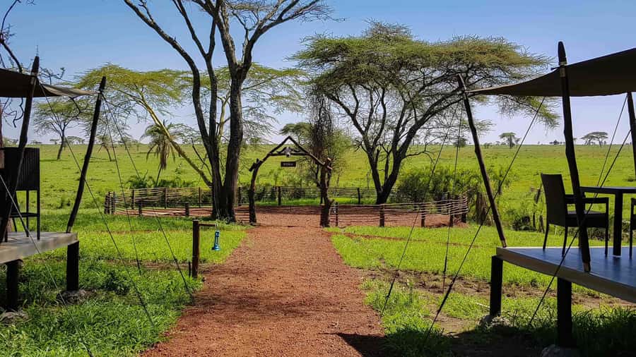 2 Days 1 Night Tarangire & Ngorongoro Crater - Picnic lunch at the hippo pool and the climb out