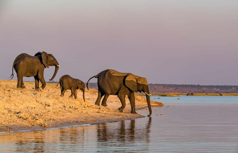 2 Days 1 Night Tarangire & Ngorongoro Crater - Day one: baobabs and elephants in Tarangire