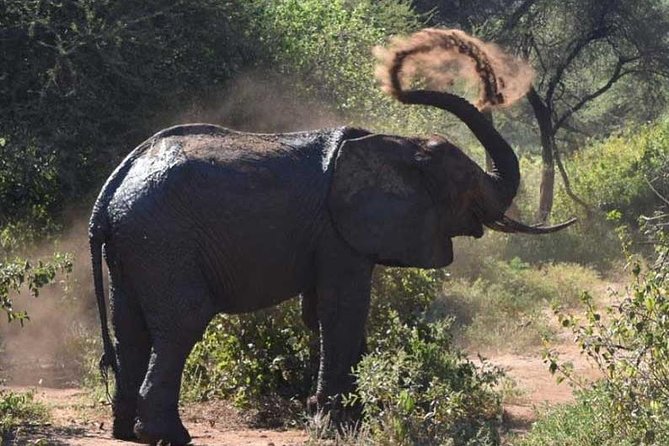 2 Days Africa Safari - A private safari changes the pace