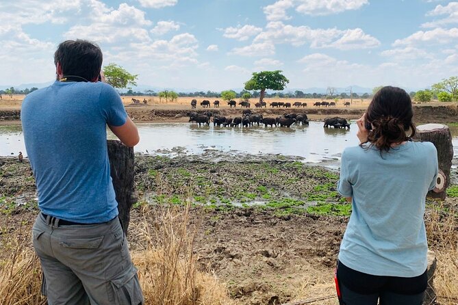 2 Days Best Safari to Mikumi National Park - Day two: breakfast, wildlife, and the road home