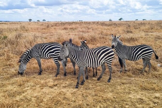 2 Days Best Safari to Mikumi National Park - The long road from Dar es Salaam to Morogoro