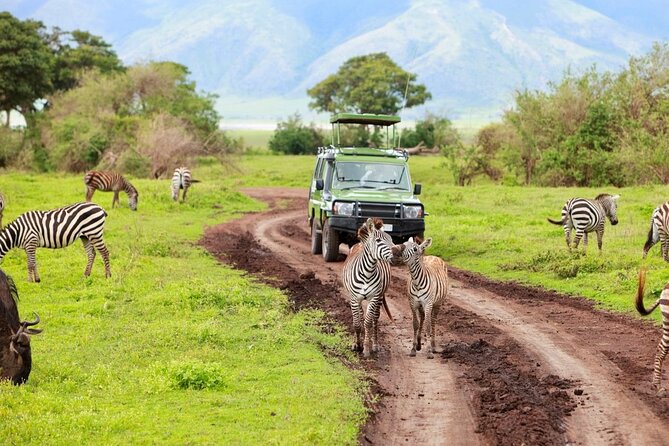 2 Days Camping Group Joining Tarangire Ngorongoro Crater Safari - A practical night at Twiga Lodge