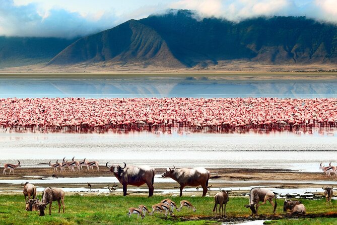 2 Days Camping Group Joining Tarangire Ngorongoro Crater Safari - Ngorongoro Crater and the four-hour wildlife drive