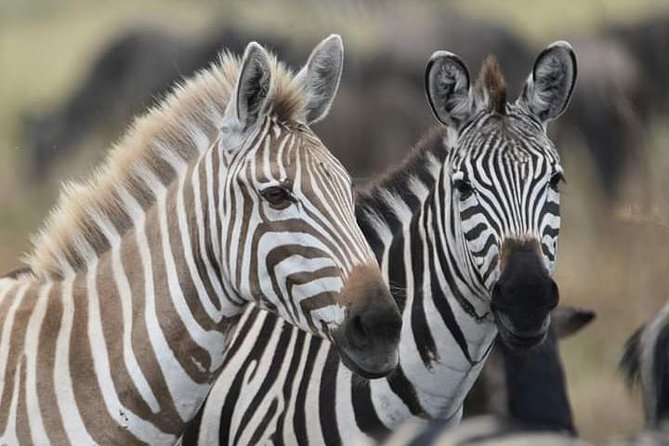 2 Days Camping Safari, Lake Manyara & Ngorongoro Crater - Lake Manyara: a compact park with surprising variety
