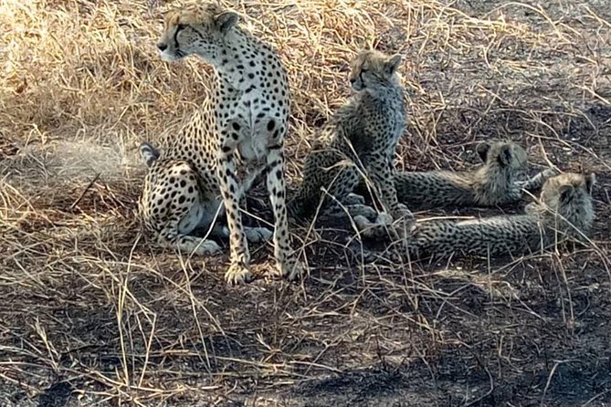 2 Days Camping Safari, Lake Manyara & Ngorongoro Crater - Lake Magadi and the crater’s water life