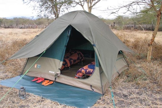 2 Days Camping Safari, Lake Manyara & Ngorongoro Crater - Guides, group size, and the human side of the trip