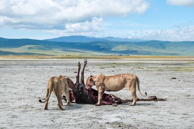 2 Days Joined Group Tarangire and Ngorongoro Crater National Park - Day two inside Ngorongoro Crater