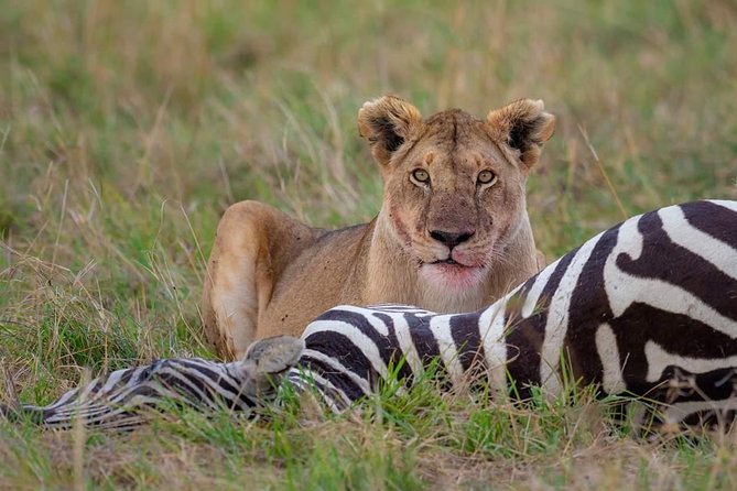 2 Days Joined Group Tarangire and Ngorongoro Crater National Park - Food, comfort, and the social side
