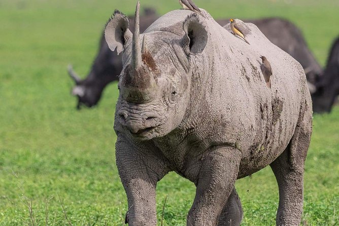 2 Days Joined Group Tarangire and Ngorongoro Crater National Park - Overnight lodging, meals, and what the package covers