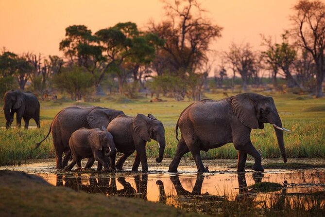 2 days Majestic Tanzania safari Tarangire and Ngorongoro Crater - Two parks, two very different safari moods