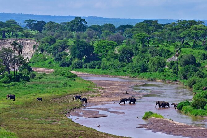 2 days Majestic Tanzania safari Tarangire and Ngorongoro Crater - Day one: elephants and baobabs in Tarangire