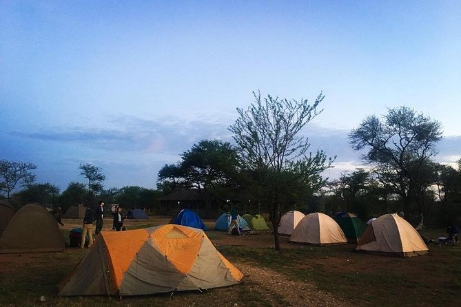 2 days Mid Range Safari in Ngorongoro and Tarangire Big 5 Parks - What the $680 price really covers