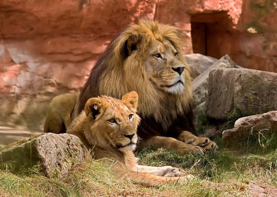 2 DAYS - MIKUMI PARK FROM DAR ES SALAAM BY LUXURY TRAIN - The 6:00 am start from Dar es Salaam