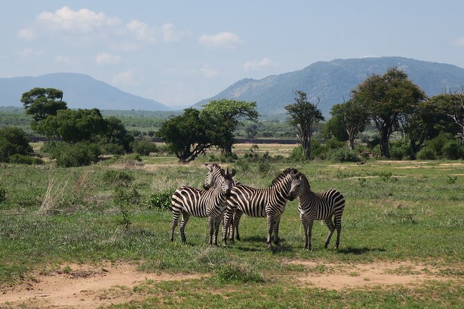 2 Days Mikumi Private Safari from Zanzibar with Accommodation - The five to six hour road journey to Mikumi