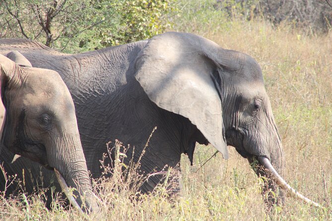 2 days private lodge safari - Leaving Arusha for Tarangire National Park