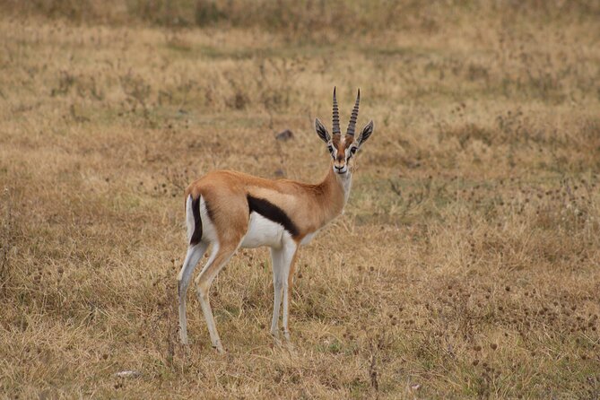 2 days private lodge safari - Booking details worth checking