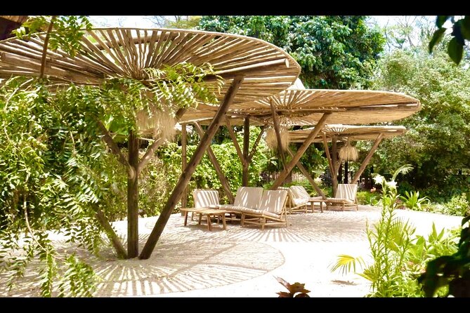 2 Days Private Midrange Safari from and back to Zanzibar - Why this two-day safari works from Zanzibar