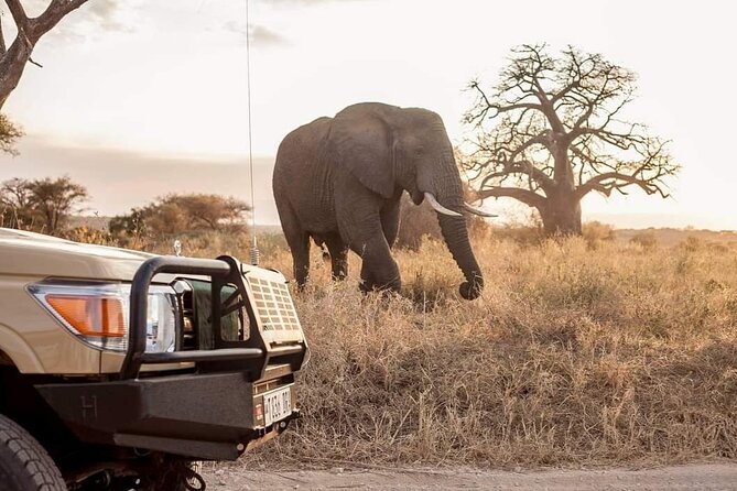 2 Days Private Midrange Safari from and back to Zanzibar - Ngorongoro Crater at first light