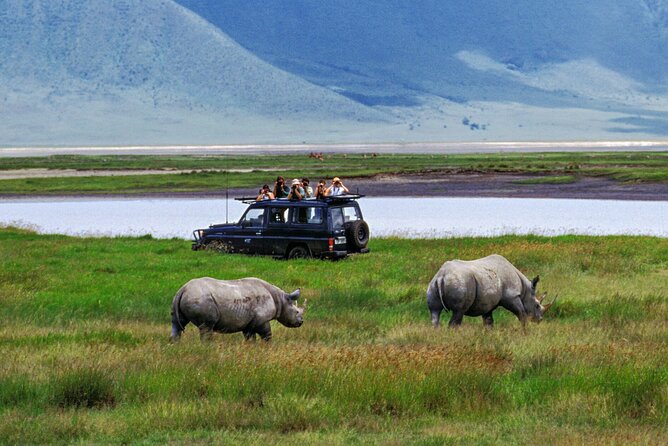 2 Days Private Midrange Safari from and back to Zanzibar - What your private vehicle adds