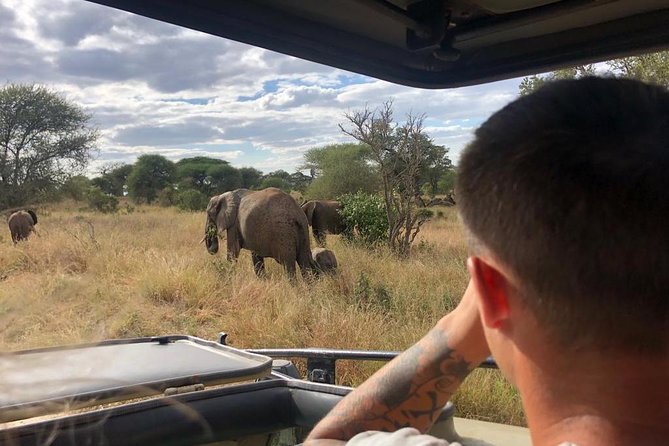 2-Days Private Midrange Safari; Tarangire & Ngorongoro Crater - The hippo pool picnic
