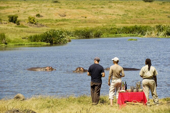 2-Days Private Midrange Safari; Tarangire & Ngorongoro Crater - A picnic lunch beside Tarangire’s wildlife