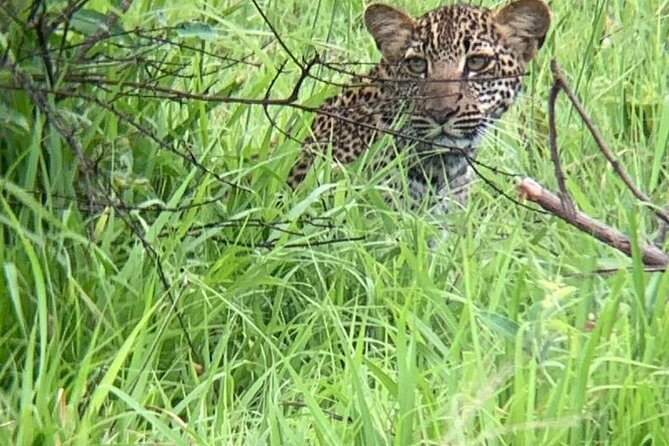 2 days private safari to Mikumi N park from Zanzibar or Dsm - Leaving Mikumi after lunch