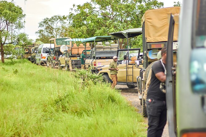 2 Days Private Safari Tour of Mikumi - Lunch at the lodge and the first evening drive