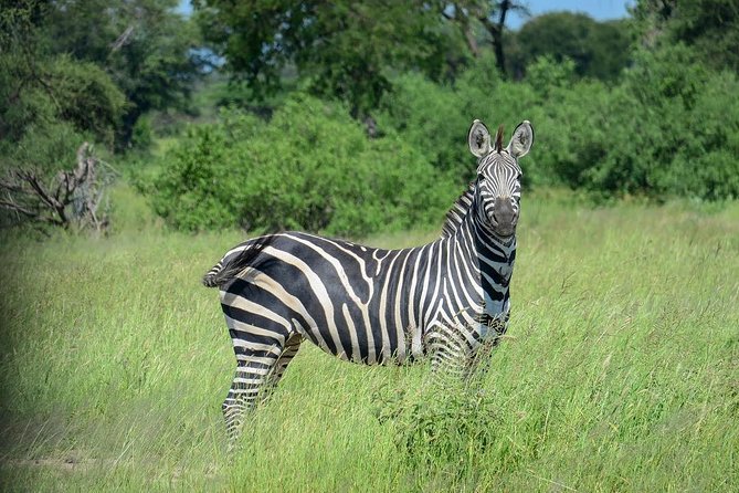 2 Days Saadani National Park From Zanzibar - Saadani in two days from Zanzibar