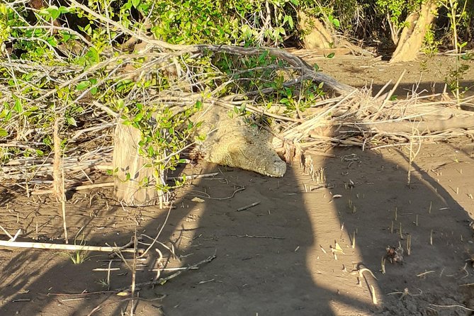 2 Days Saadani National Park From Zanzibar - Practical timing and comfort advice