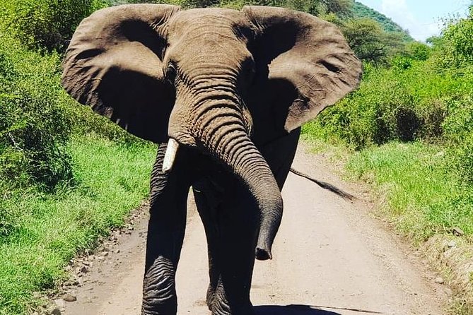 2 Days Saadani National Park From Zanzibar - Guides and the human side of the trip