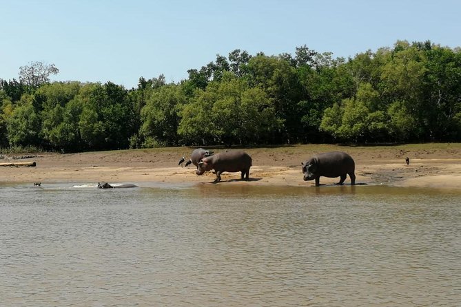 2 Days Saadani National Park From Zanzibar - Day one: the Wami River sets the tone