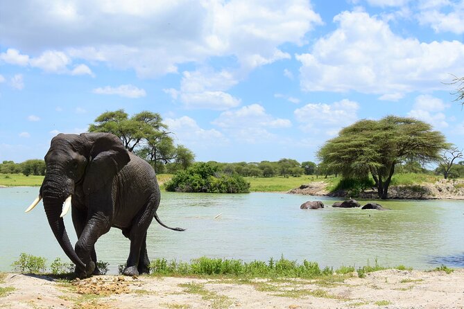 2 Days Safari through Tarangire NP and Lake Manyara NP - Why Tarangire is the right first stop