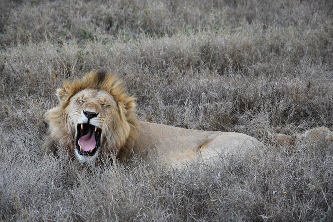 2 Days Safari through Tarangire NP and Lake Manyara NP - Lake Manyara rewards an early start