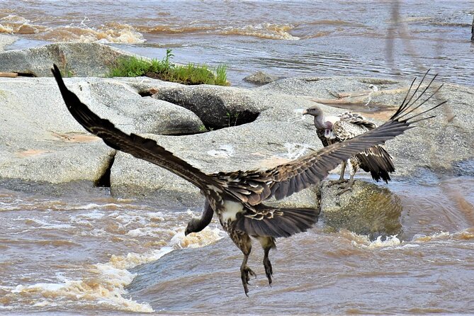 2 Days Safari through Tarangire NP and Lake Manyara NP - Communication may be the best practical feature
