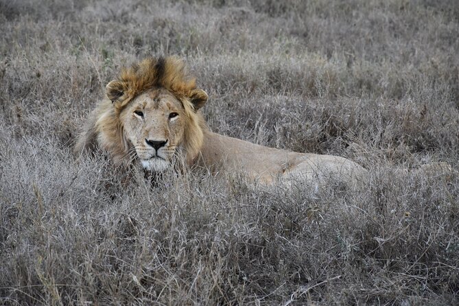 2 Days Safari through Tarangire NP and Lake Manyara NP - What the $1,200 price means