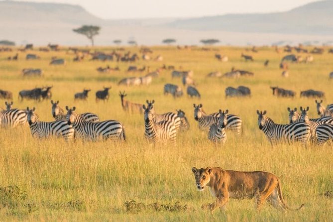 2 Days Selous Game Reserve Safari from Zanzibar or Dar es salaam - Flying into Nyerere National Park