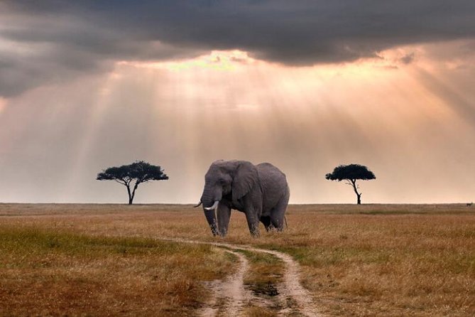 2 Days Selous Game Reserve Safari from Zanzibar or Dar es salaam - The first game drive, from breakfast to sunset