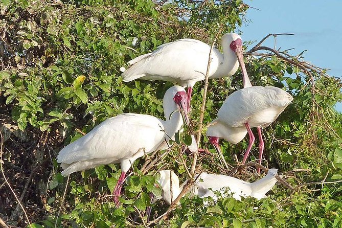 2 Days Selous Game Reserve Safari from Zanzibar or Dar es salaam - Guides, vehicles, and the feel of the day